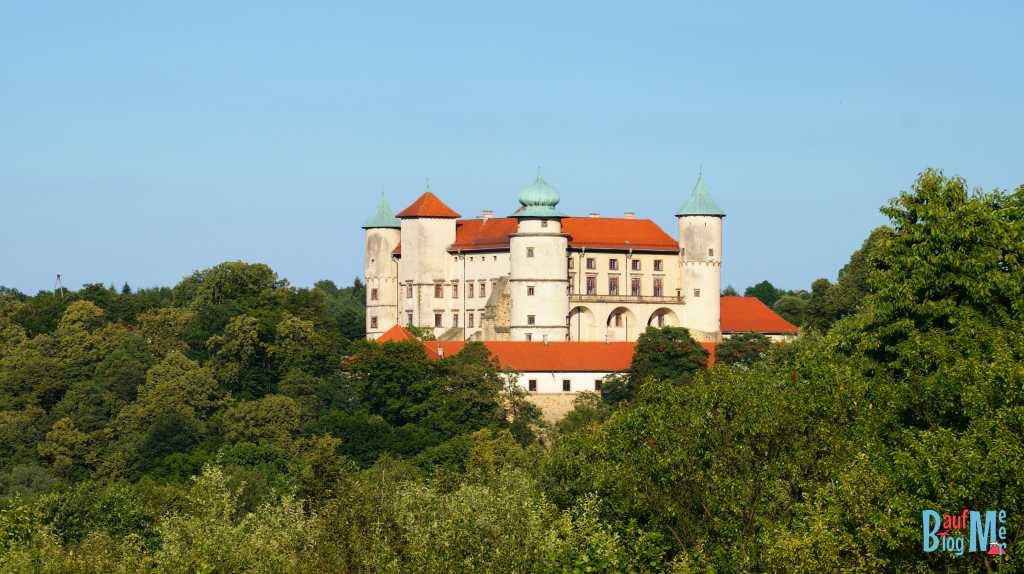 Schloss in der Nähe von Bochnia