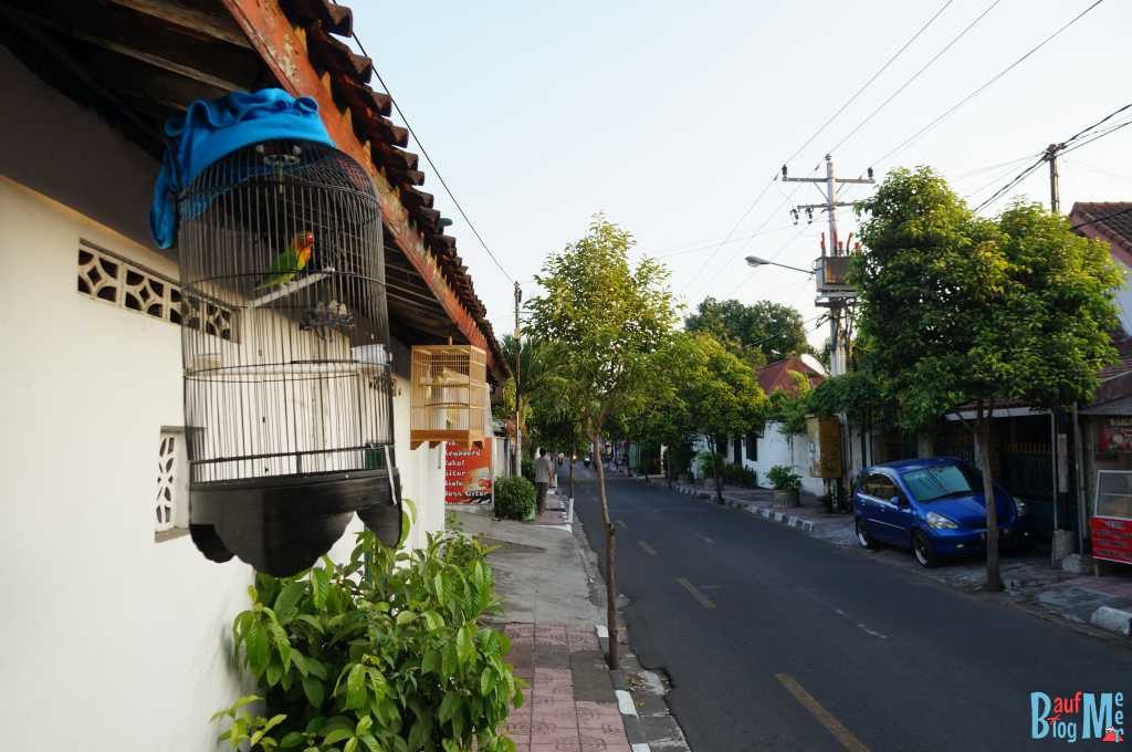 Überalle sieht man sie: Vogelkäfige in Yogyakarta