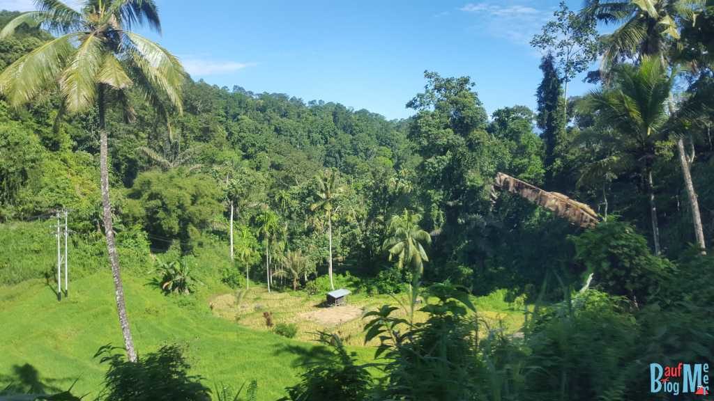 Ausblicke bei der Busfahrt nach Bukittinggi