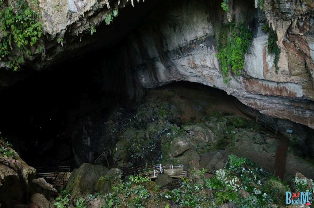 Abstieg zur Wind Cave im Gunung Mulu Nationalpark