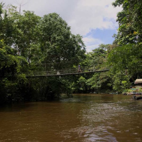 Brücke zum Gunung Mulu Nationalpark
