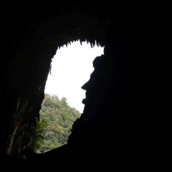 Profil von Abraham Lincoln in der Deer Cave im Gunung Mulu Nationalpark