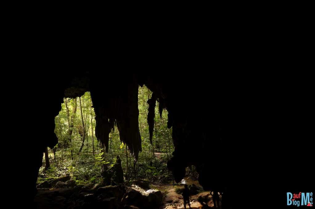 Ausblick aus der Racer Cave im Gunung Mulu Nationalpark