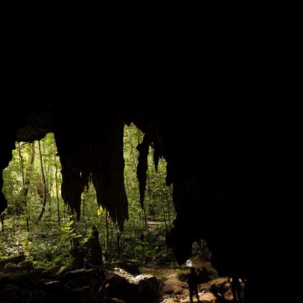 Ausblick aus der Racer Cave im Gunung Mulu Nationalpark