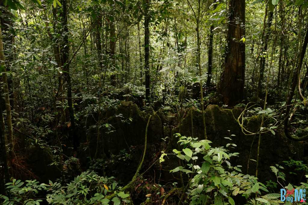 Felsformationen im Gunung Mulu Nationalpark