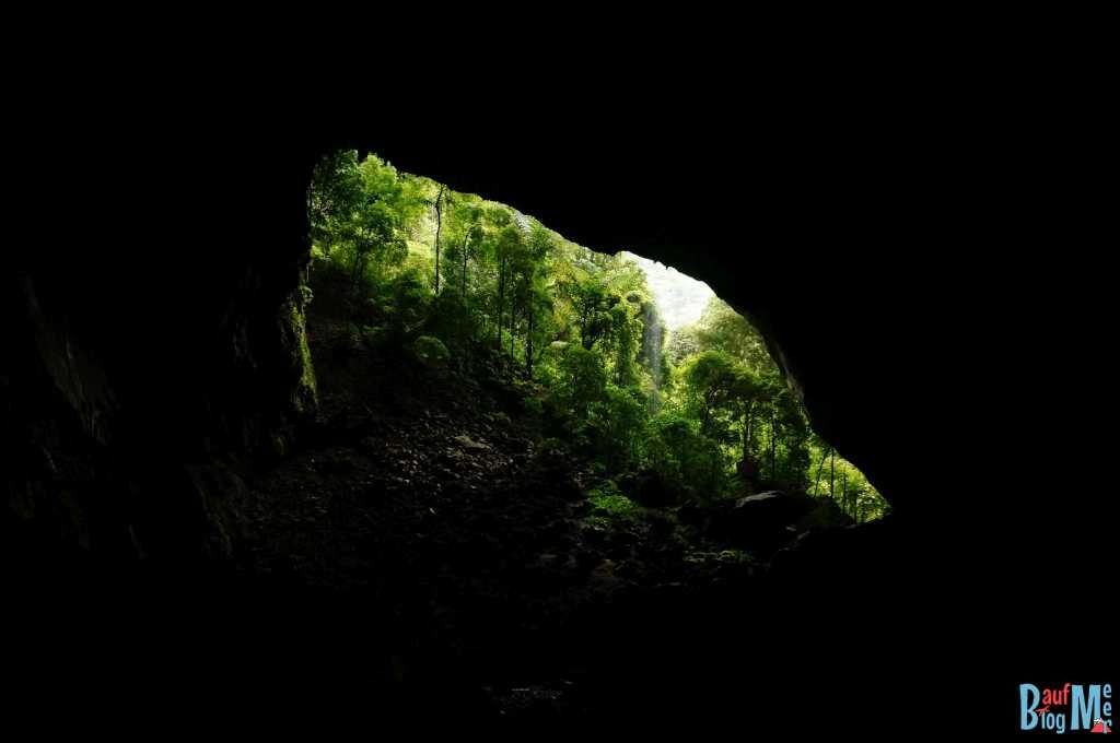 Blick auf den "Garden of Eden" von der Deer Cave im Gunung Mulu Nationalpark