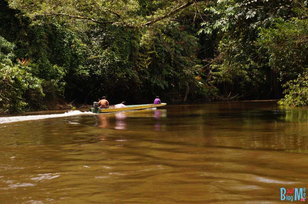 Langboot im Gunung Mulu Nationalpark