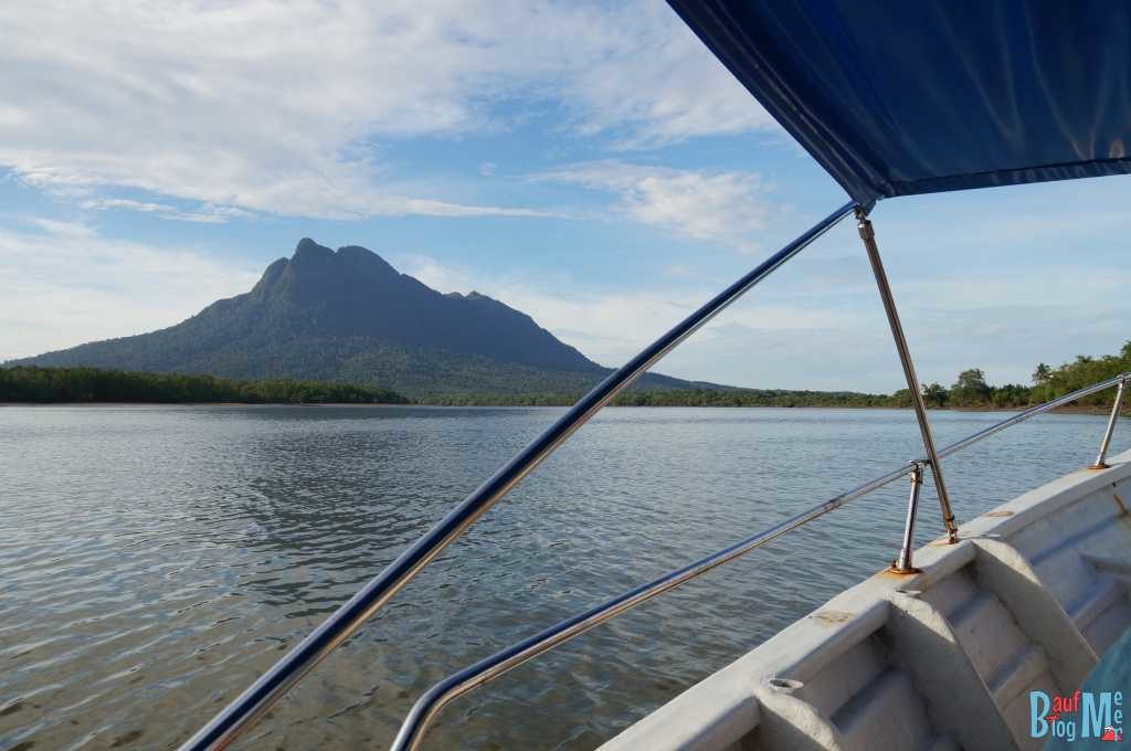 Blick auf den Berg Santubong beim Wetland Cruise nahe Kuching