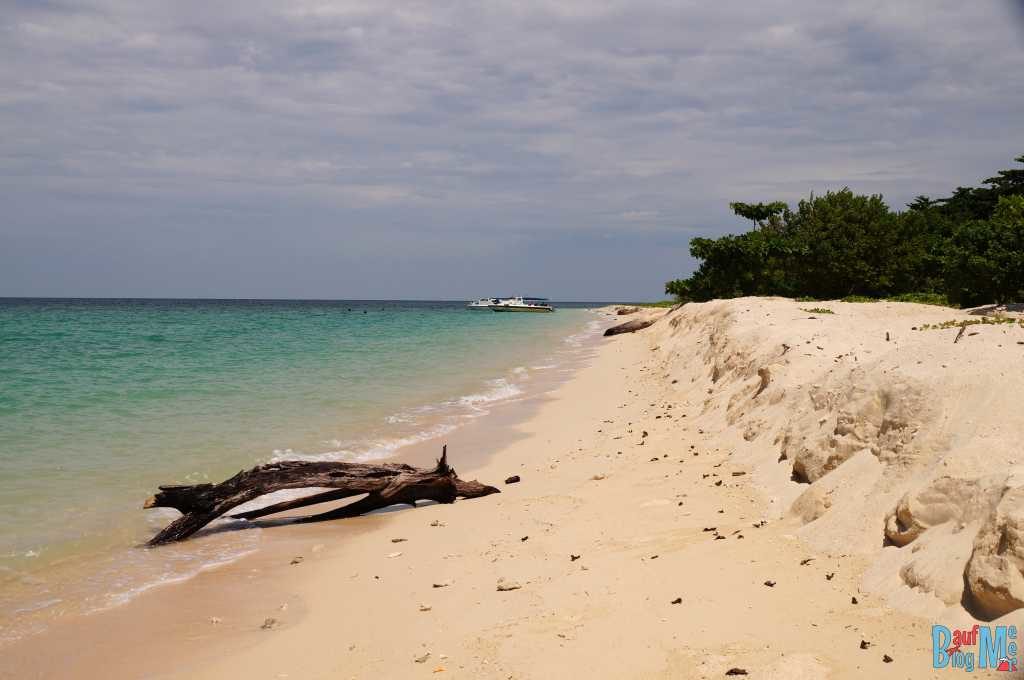 Baumstumpf am Strand von Turtle Island Selingan