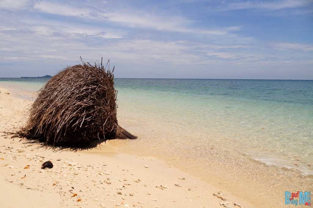 Palmenwurzel am Strand von Turtle Island Selingan