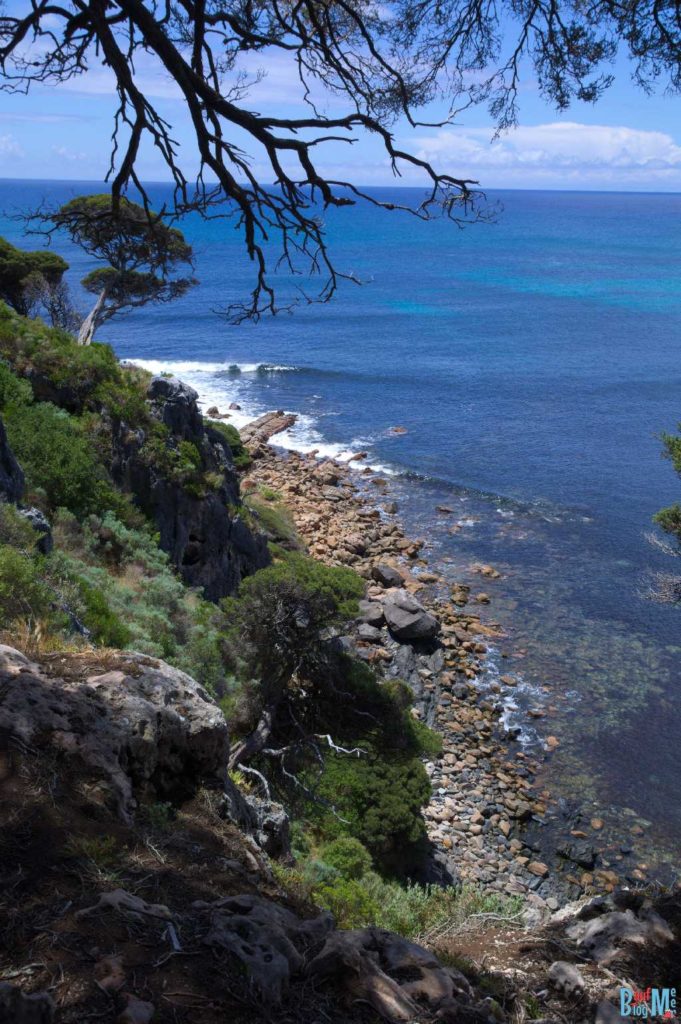 Ausblick auf die Küstenlandschaft vom Aussichtspunkt beim Shelly Cove