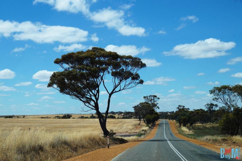 Straßen in Western Australia in der Nähe der Stirling Range