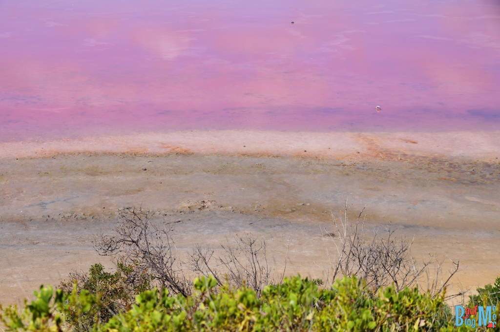 Pink Lake Hutt Lagoon