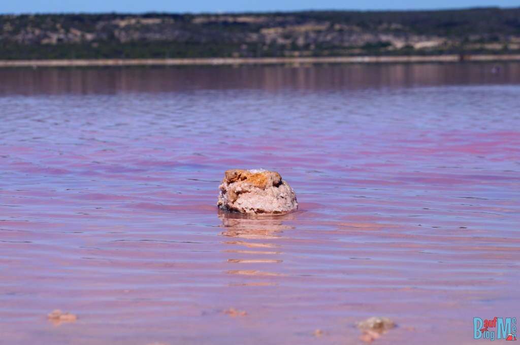 Orange-rosa Stein im pinken Wasser des Pink Lake