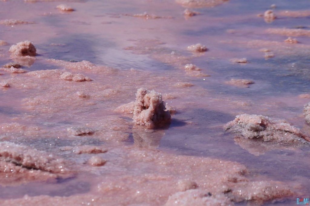 Stein aus Salz im pinken See