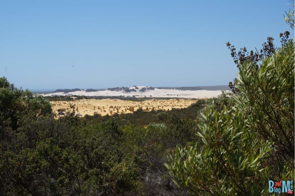 Ausblick auf die orangene Pinnacles Desert und dahinter eine weiße Düne auch Teil des Nambung Nationalparks