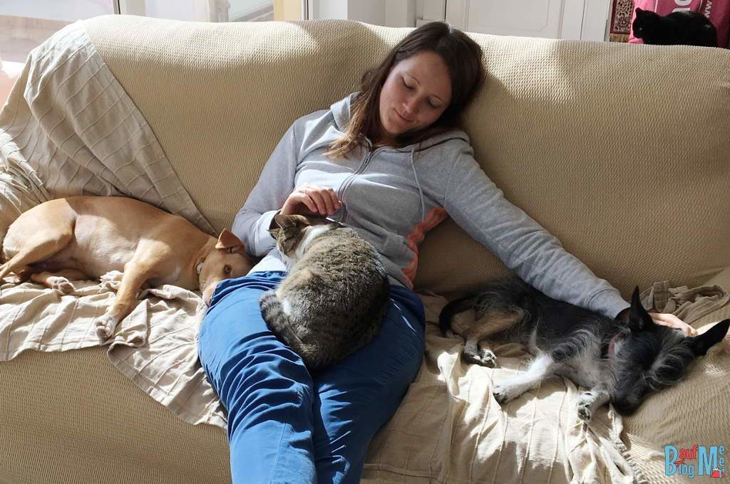 House Sitting Erfahrung: Kuscheln mit Katze und Hund