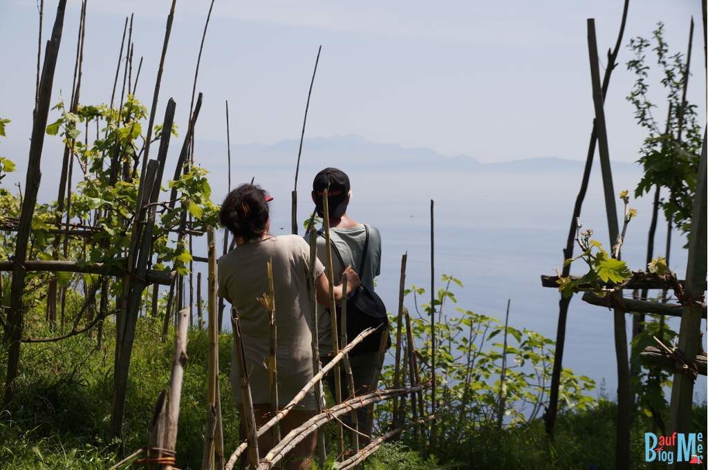 Ausblicke auf Capri bei der Wanderung bei Pancrazio auf Ischia