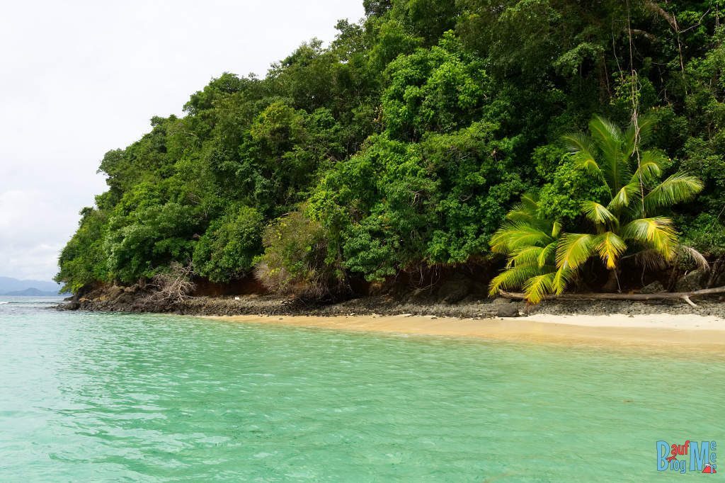 Palmenstrand und grünes Meer vor Coiba Panama