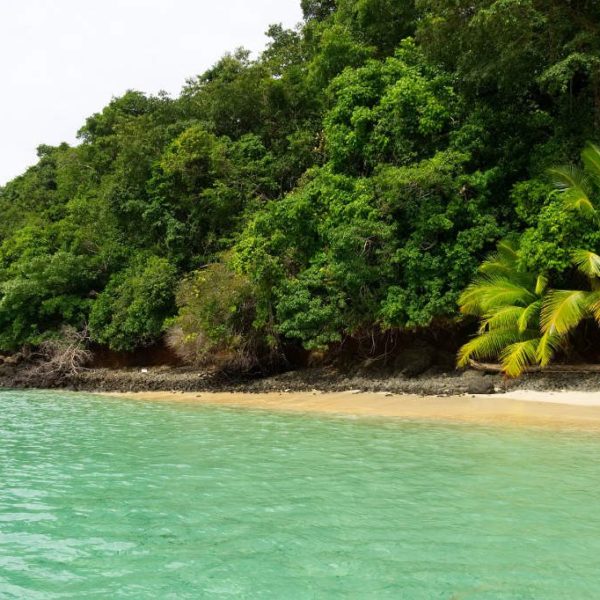 Palmenstrand und grünes Meer vor Coiba Panama