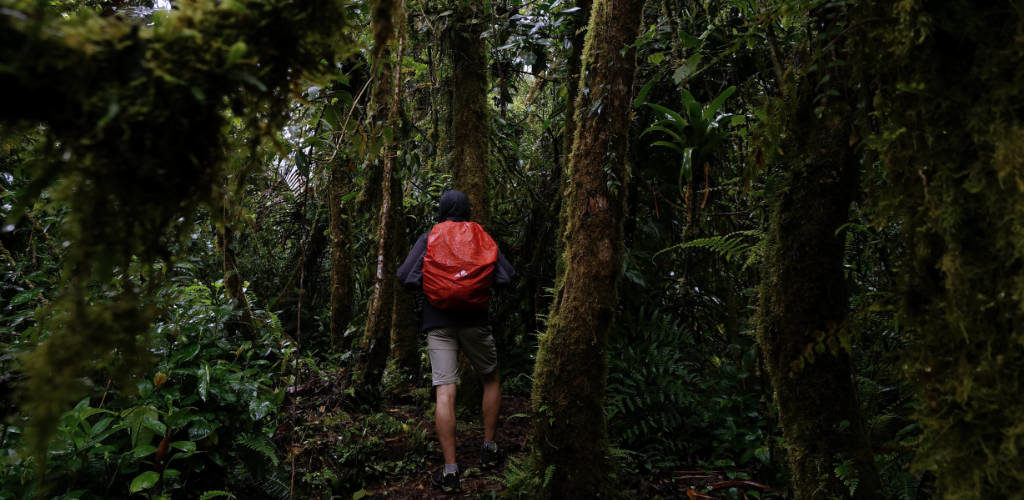 Reisezeit Panama: Wandern zur Regenzeit im La Amistad Nationalpark