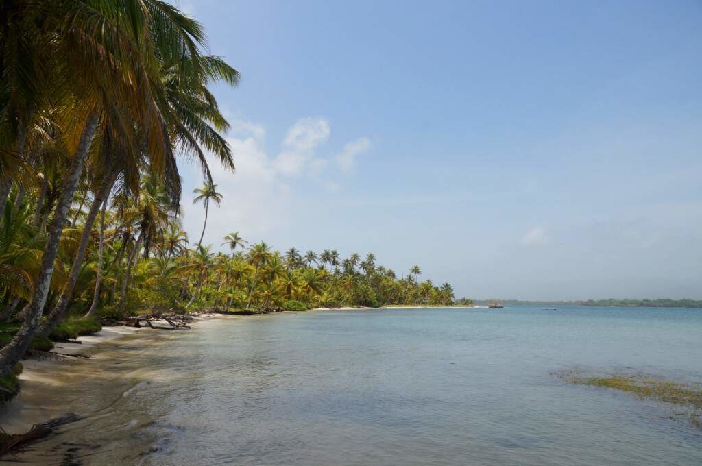 Meer und Palmen auf den San Blas Inseln