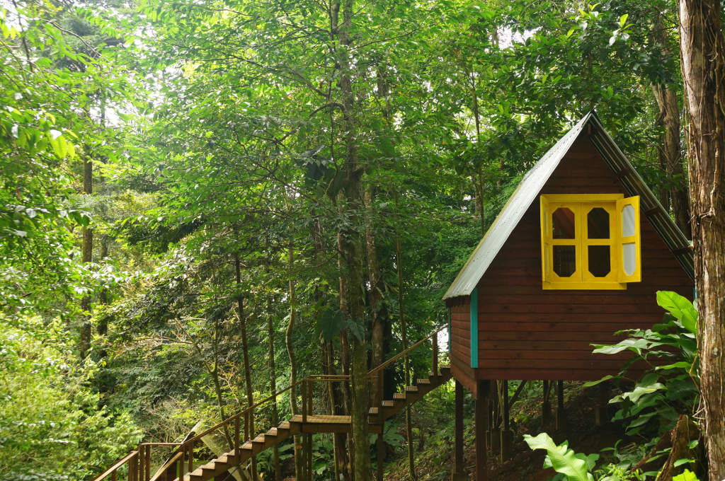 eine Hütte der Nomad Tree Lodge in Bocas del Toro