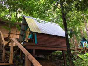 Nomad Tree Lodge eine Backpacker Lodge in Panama