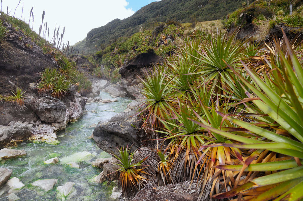 Heiße Quellen im Paramo des Parque Nacional Los Nevados