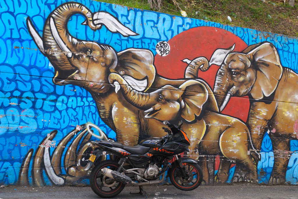Friedenselefanten: Graffiti in der Comuna 13 in Medellín